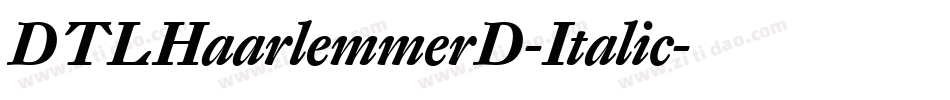 DTLHaarlemmerD-Italic字体转换
