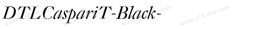 DTLCaspariT-Black字体转换
