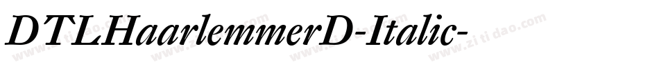 DTLHaarlemmerD-Italic字体转换