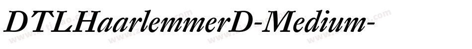 DTLHaarlemmerD-Medium字体转换