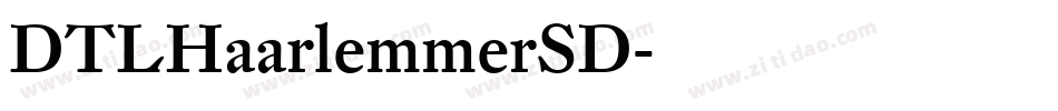 DTLHaarlemmerSD字体转换