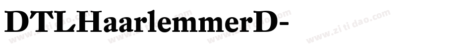 DTLHaarlemmerD字体转换