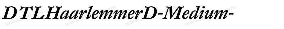 DTLHaarlemmerD-Medium字体转换