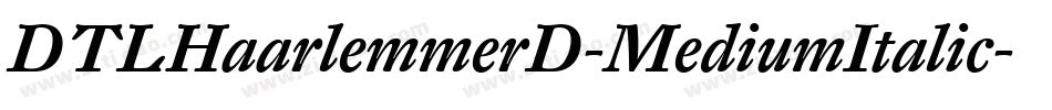 DTLHaarlemmerD-MediumItalic字体转换