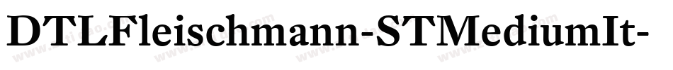 DTLFleischmann-STMediumIt字体转换