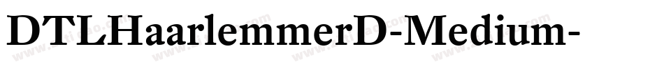 DTLHaarlemmerD-Medium字体转换