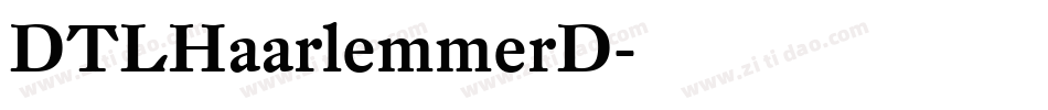 DTLHaarlemmerD字体转换