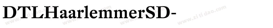 DTLHaarlemmerSD字体转换