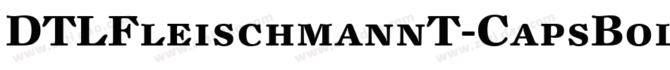 DTLFleischmannT-CapsBoldItalic字体转换