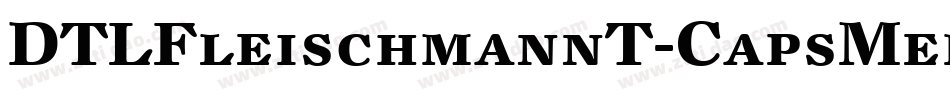 DTLFleischmannT-CapsMedium字体转换