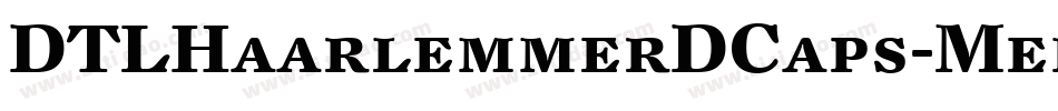DTLHaarlemmerDCaps-Medium字体转换