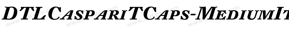 DTLCaspariTCaps-MediumItalic字体转换