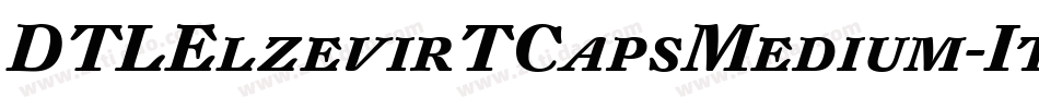 DTLElzevirTCapsMedium-Italic字体转换