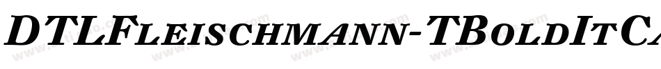 DTLFleischmann-TBoldItCaps字体转换