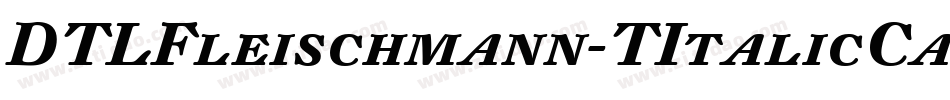 DTLFleischmann-TItalicCaps字体转换
