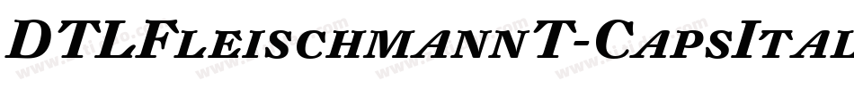 DTLFleischmannT-CapsItalic字体转换