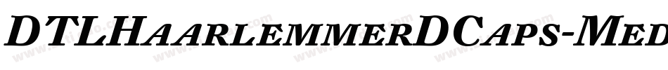 DTLHaarlemmerDCaps-MedItalic字体转换