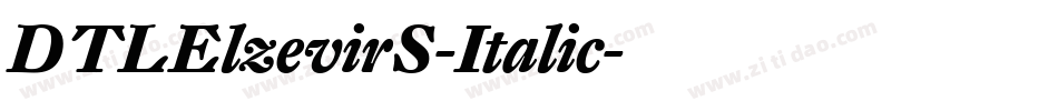 DTLElzevirS-Italic字体转换