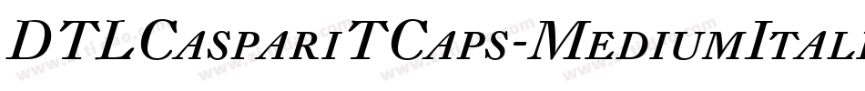DTLCaspariTCaps-MediumItalic字体转换
