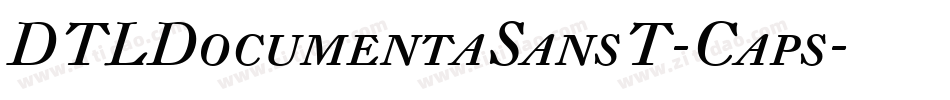 DTLDocumentaSansT-Caps字体转换