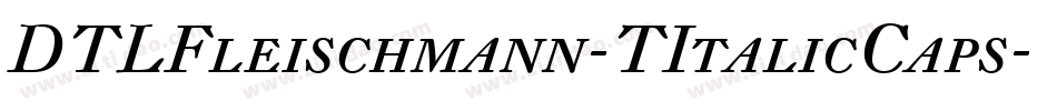 DTLFleischmann-TItalicCaps字体转换