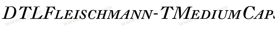 DTLFleischmann-TMediumCaps字体转换