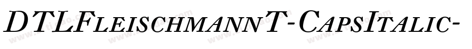 DTLFleischmannT-CapsItalic字体转换