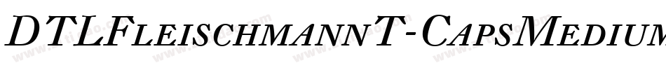 DTLFleischmannT-CapsMedium字体转换