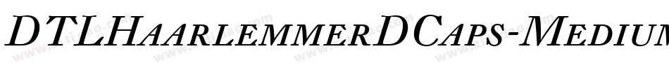 DTLHaarlemmerDCaps-Medium字体转换