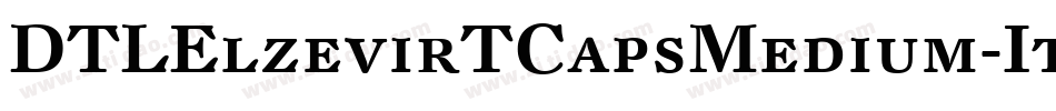 DTLElzevirTCapsMedium-Italic字体转换