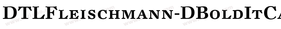 DTLFleischmann-DBoldItCaps字体转换
