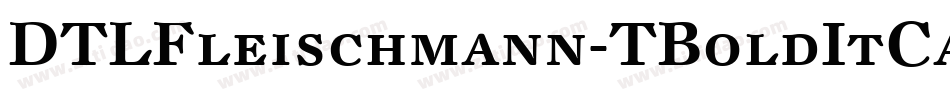 DTLFleischmann-TBoldItCaps字体转换