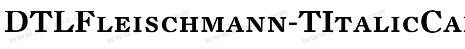 DTLFleischmann-TItalicCaps字体转换