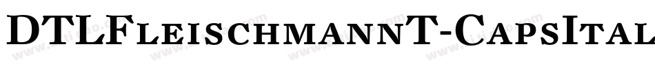 DTLFleischmannT-CapsItalic字体转换