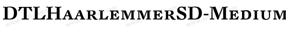 DTLHaarlemmerSD-Medium字体转换