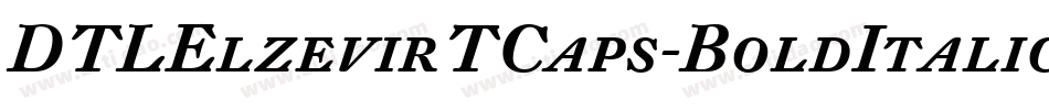 DTLElzevirTCaps-BoldItalic字体转换