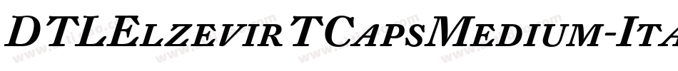 DTLElzevirTCapsMedium-Italic字体转换
