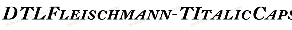 DTLFleischmann-TItalicCaps字体转换
