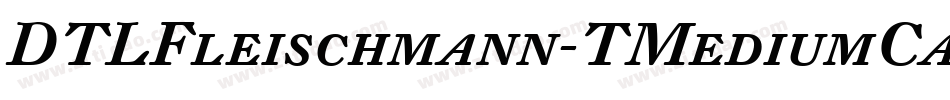 DTLFleischmann-TMediumCaps字体转换