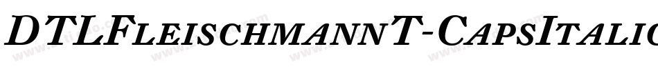 DTLFleischmannT-CapsItalic字体转换