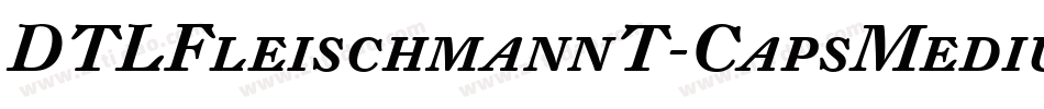 DTLFleischmannT-CapsMedium字体转换