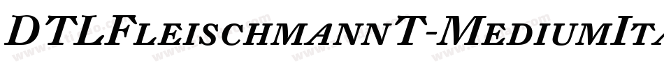 DTLFleischmannT-MediumItalic字体转换