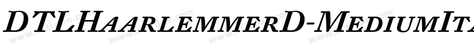 DTLHaarlemmerD-MediumItalic字体转换