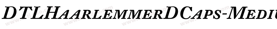DTLHaarlemmerDCaps-Medium字体转换