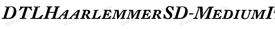 DTLHaarlemmerSD-MediumItalic字体转换