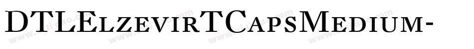 DTLElzevirTCapsMedium字体转换