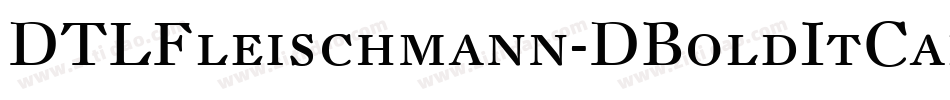 DTLFleischmann-DBoldItCaps字体转换