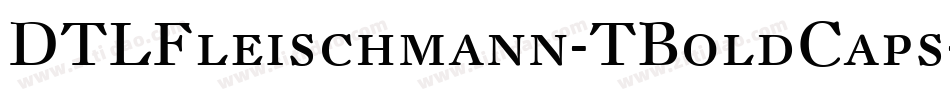 DTLFleischmann-TBoldCaps字体转换