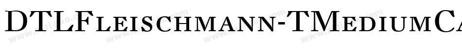 DTLFleischmann-TMediumCaps字体转换
