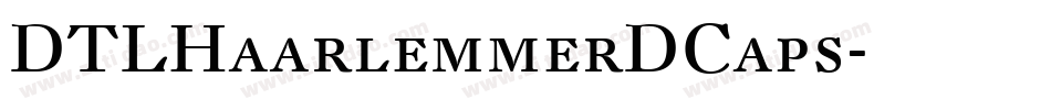 DTLHaarlemmerDCaps字体转换